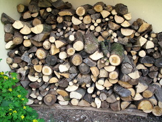 Tas de buches sur le sol