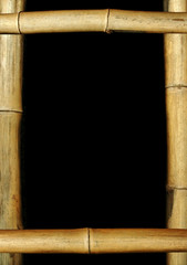 bamboo frame background