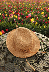 Straw hat in tulip flower field