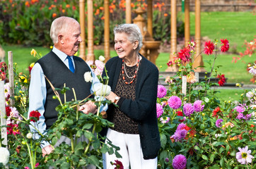 Laughter in the Dahlias