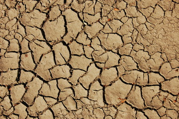 dry soil
