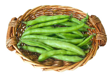 broad beans, horse beans,fava beans