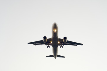 avion