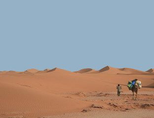 nomade et dromadaire dans les dunes