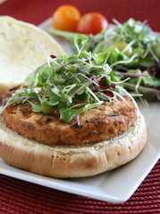 Salmon Burger