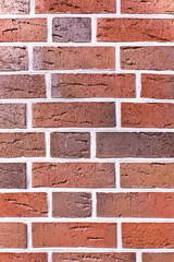 wall