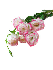 pink flower