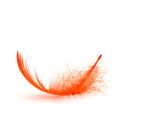 Red feather