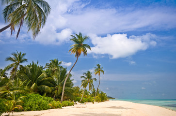 Fototapeta na wymiar Tropikalna plaża marzenie