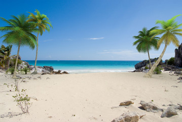 Fototapeta na wymiar palm beach
