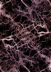 The structure of vessels