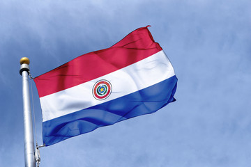 Fototapeta na wymiar drapeau paraguay