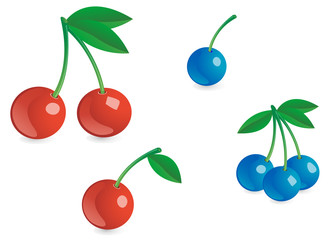 Appetizing fresh berries isolated on the white