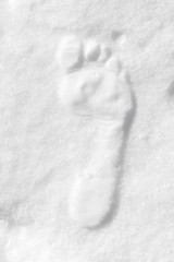 A strange mark in the snow