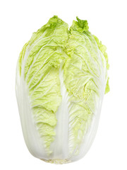 Napa Cabbage