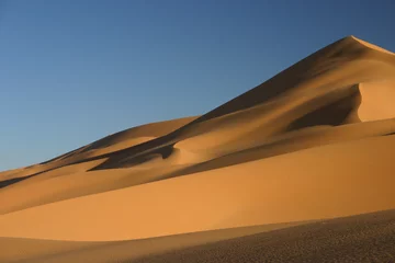 Foto auf Leinwand Saharalandschaft © Nadja