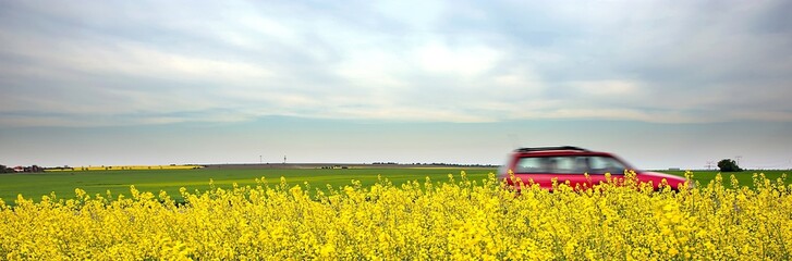 Speeding car and yellow fields