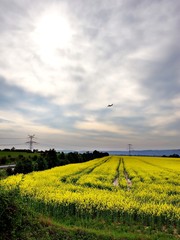 Descending airplane on cloudy sky with yellow fields