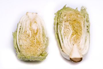 kapusta, cabbage
