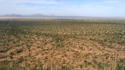 Désert de l'Arizona