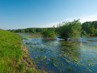 river landscape