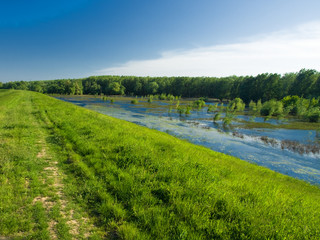 river landscape