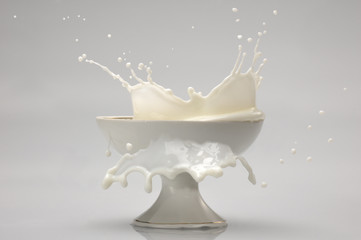 Milk splash isolated on white