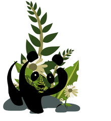 Panda in the green plants