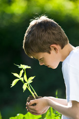 nature protégée 14