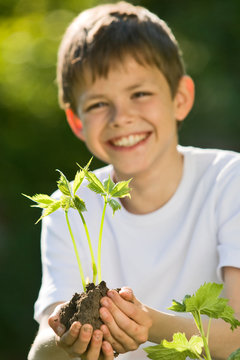 nature prot&eacute;g&eacute;e 3