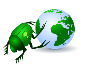 Green Scarab beetles