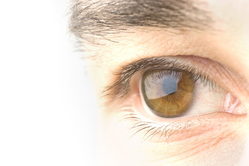 Close view of man eye