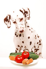 Keine Lust auf Gem&uuml;se