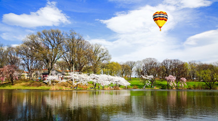 The Cherry Blossom Festival in New Jersey