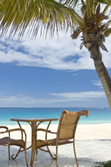 View of a Tropical Beach