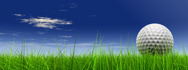 3d white golf ball in green grass on a blue sky banner