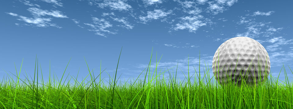 3d white golf ball in green grass on a blue sky banner
