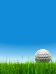 3d white golf ball in green grass on a clear blue sky