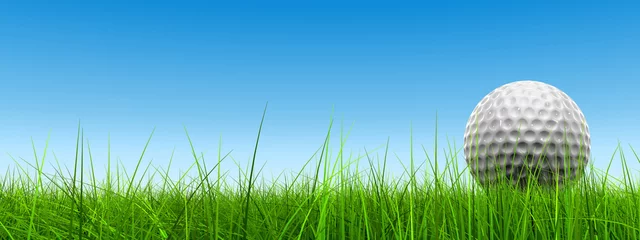 Poster conceptuele 3D golfbal op groen gras over een blauwe hemel © high_resolution