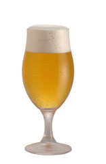 glass of beer