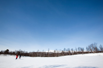 Winter Landscape with Skiiers