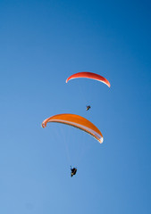 Paraglider