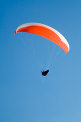 Paraglider