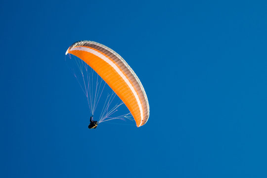 Paraglider