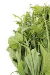 br&egrave;des chouchoux, feuilles comestibles cuisine de la r&eacute;union