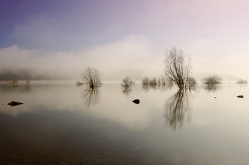 Obraz premium Trees and lake with reflections