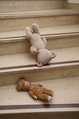 oursons © Dominique VERNIER