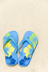 Fototapeta na wymiar Flip Flops on a Beach