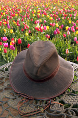 Brimmed hat and tulip flower field
