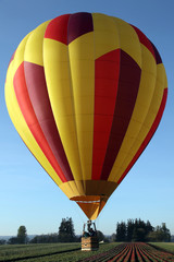 Hot air balloon over tulip flowers